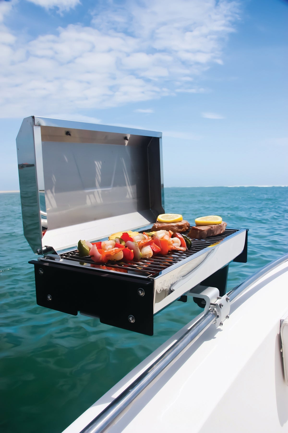 Marine gas grill best sale